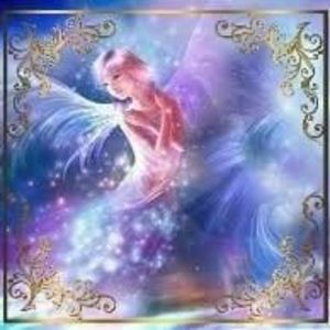 Meet your Posher, Frances